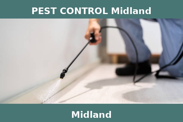 PEST CONTROL Midland